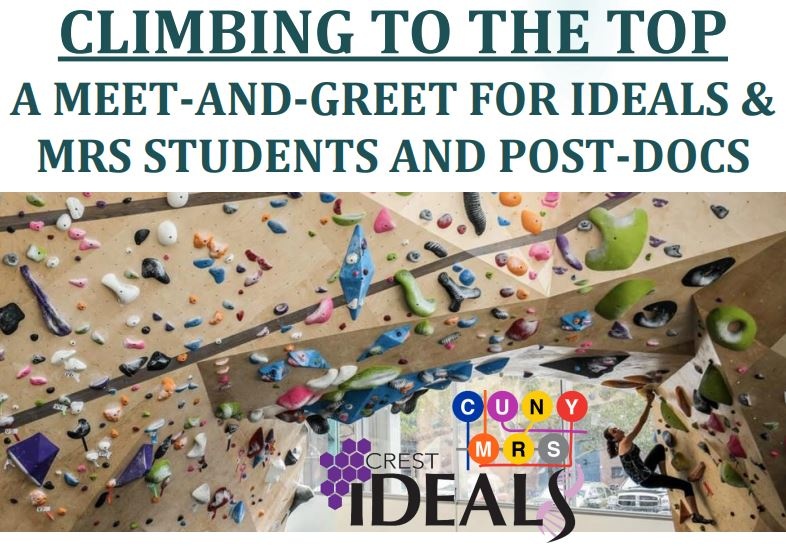 Meet-and-Greet IDEALS & MRS Students and PostDocs
