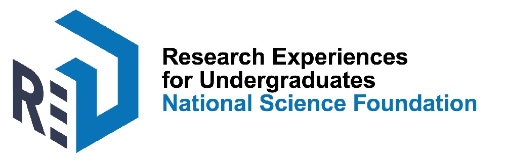 NSF REU Site awarded to IDEALS researchers Lopez and McGregor