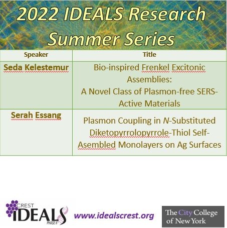 IDEALS Research Summer Series