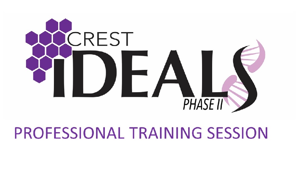 IDEALS Professional Training Session