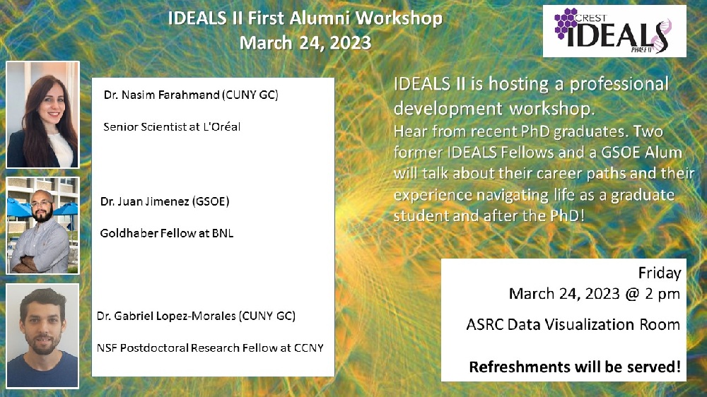 IDEALS II First Alumni Workshop