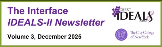 Fourth IDEALS Newsletter