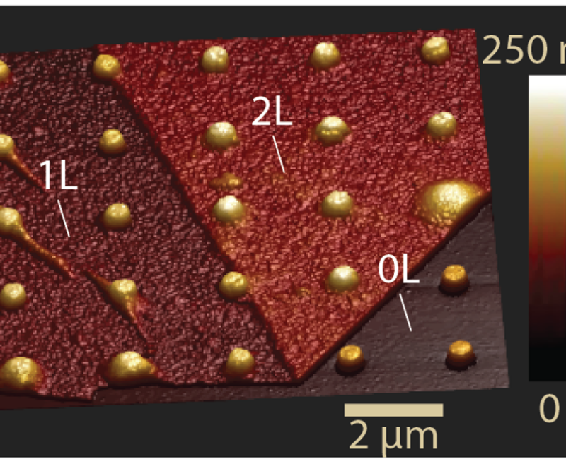 Hexagonal BN