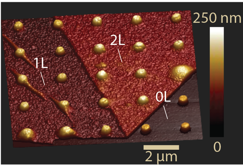 Hexagonal BN