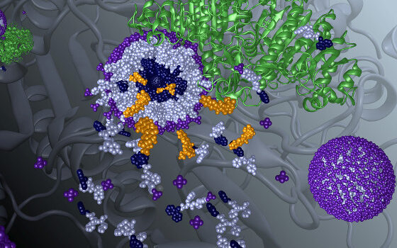 modeling of proteins and nanoparticles