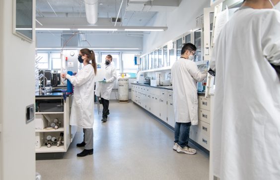lab